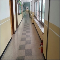 대전동구건물도장-5452494